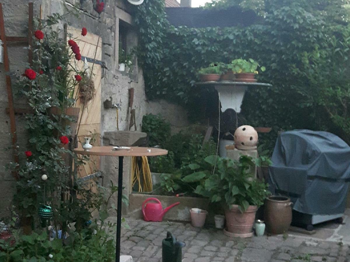 Ferienwohnung 哈默尔堡 外观 照片